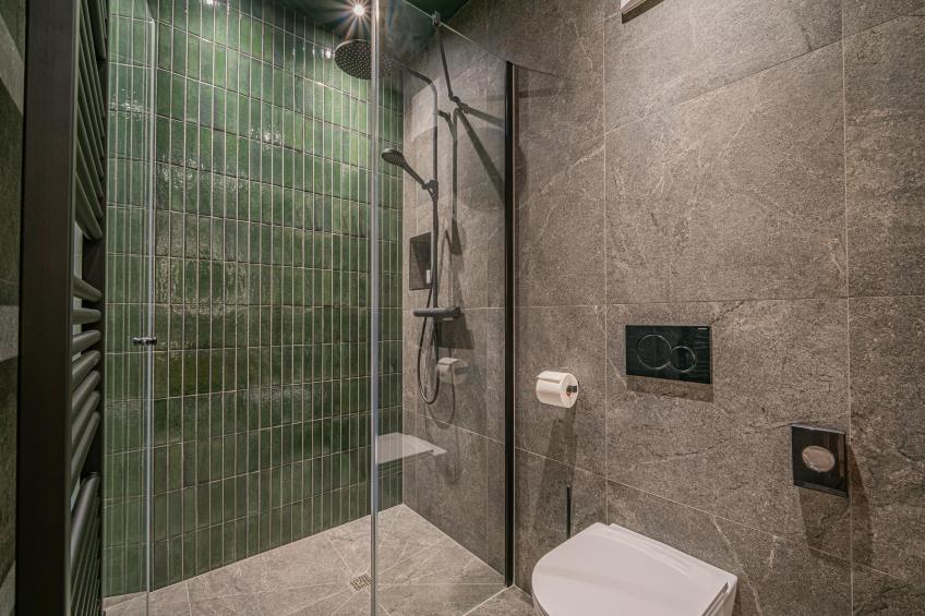 Premium Apartments AlmrauschEdelweiß - foto 4