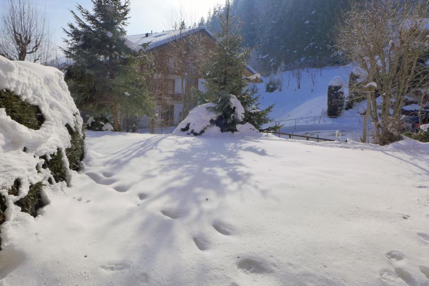 Le Torrent - foto 31