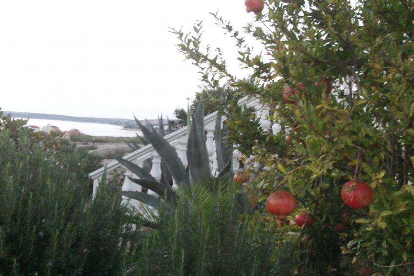 mit Blick auf das Wasser - foto 22