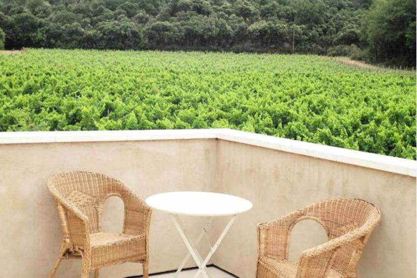 Vivez L'authenticité à La Maison "au Pied Des Vignes" - foto 35