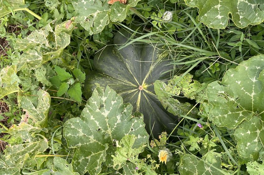 'Merula Antica Dimora' - foto 24