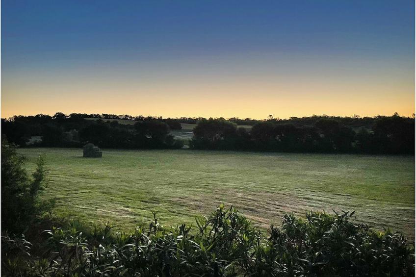 486911 - foto 30