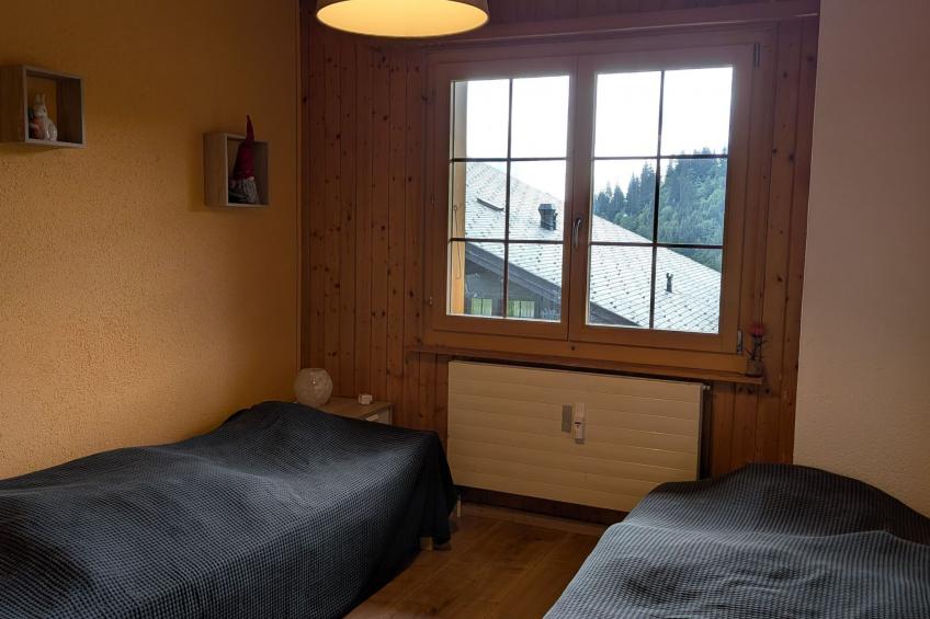 Chalet Iris, appartement N°6, (Champoussin), - foto 11