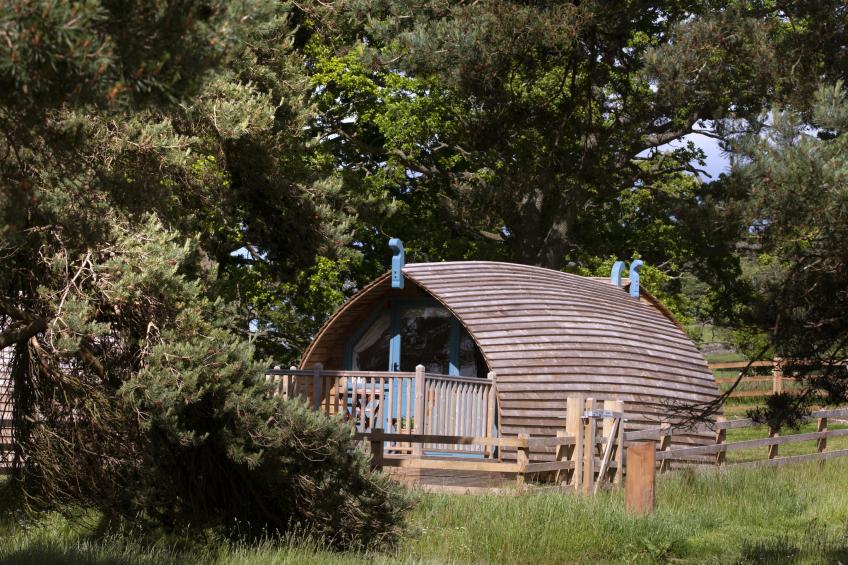 The Wonney's Glamping - foto 7