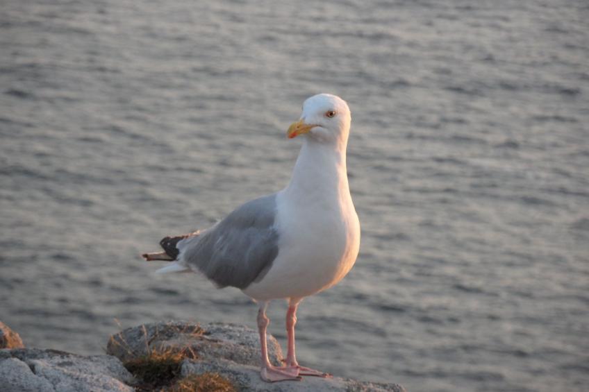 Unterkunft in der Mitte - foto 22