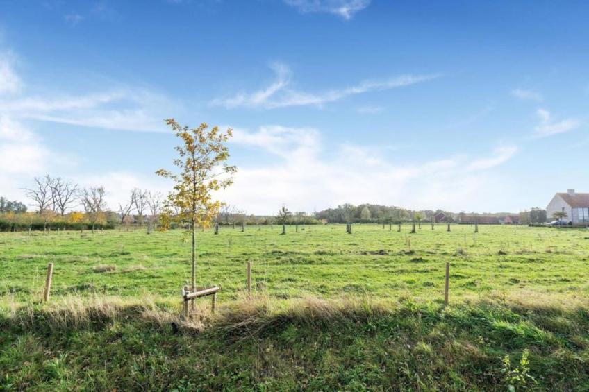 Casteeldoorn - foto 23