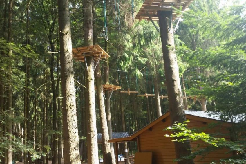 Wohnung in Börgerwald mit Sauna - foto 18