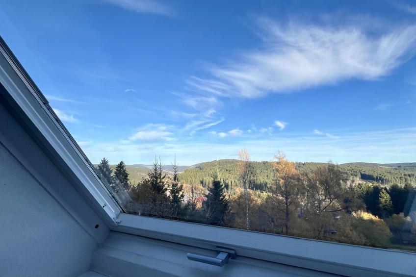 Falkennest - mit Blick auf den Titisee - foto 18
