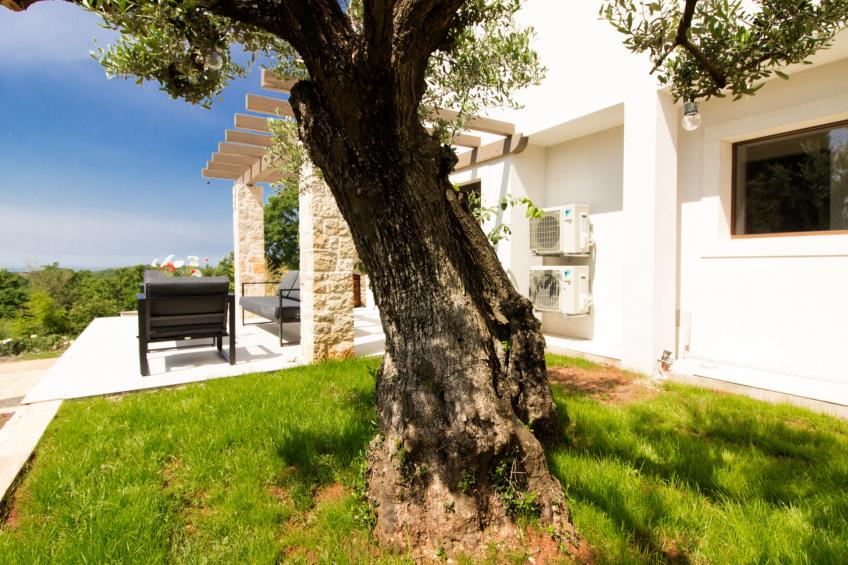 Villa Irma - foto 15