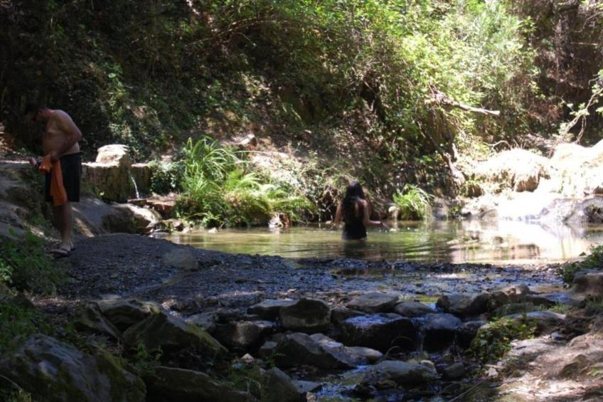 The Turtle - foto 34