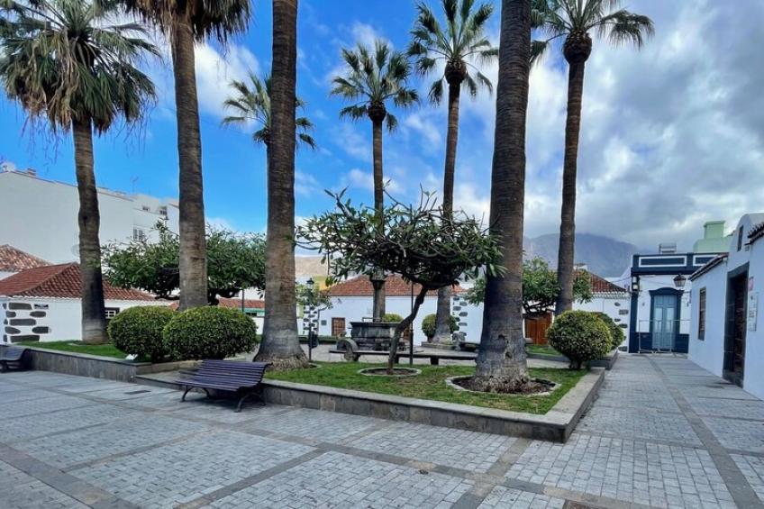holiday home, Los Llanos de Aridane - foto 41