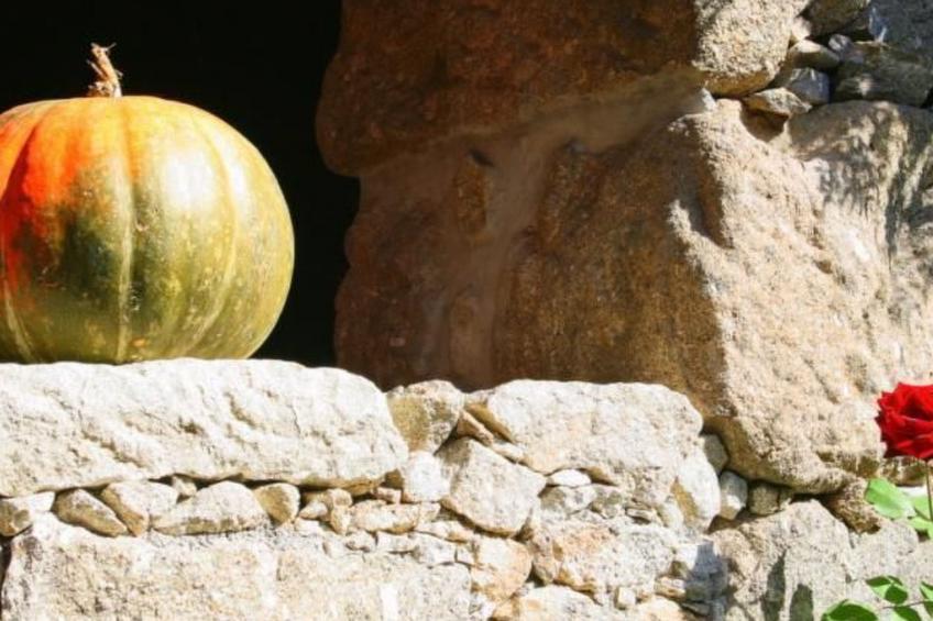 Ländliche Finca "Casa da Rocha" - foto 37