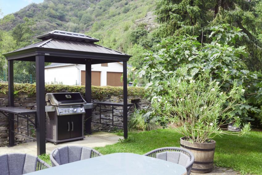 Apple Tree , direkt an der Mosel - foto 23