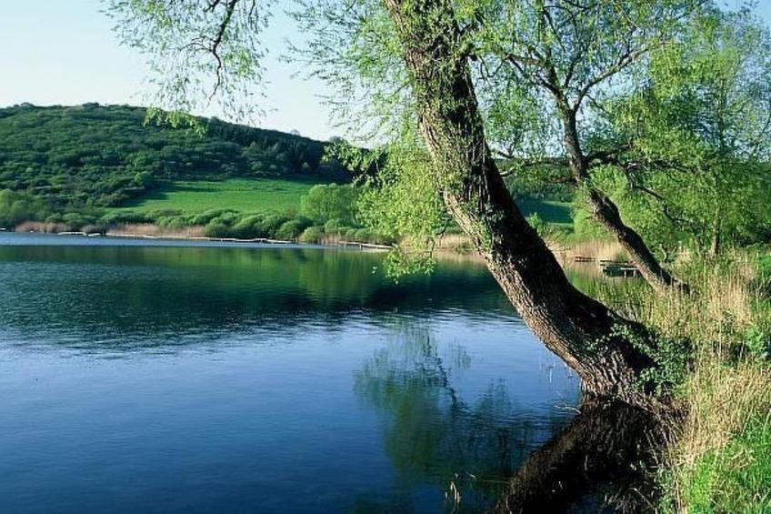 Elegante Ferienwohnung in Schalkenmehren - foto 32