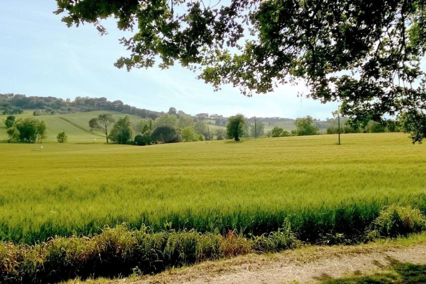 Haus in Marciano mit privatem Parkplatz - foto 15