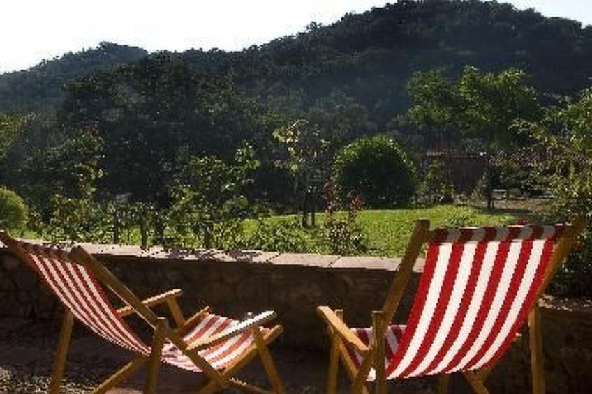 La Cigüeña - foto 2