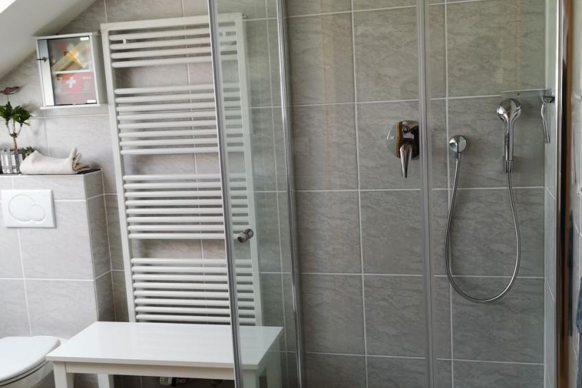 Haus Maria Hochschwarzwald, Garten umzäunt, Waldrand, Hunde willkommen - foto 20