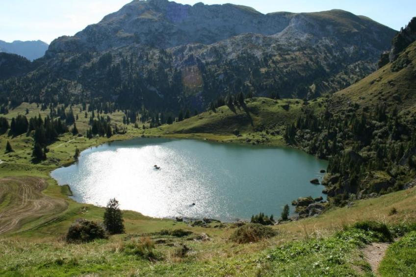 Fewo mit Herz - foto 32