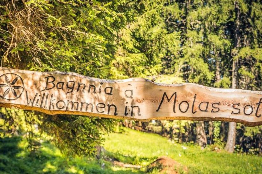 Maiensäss Molas Sot Appartement/Fewo Maiensäss-Stall - foto 6