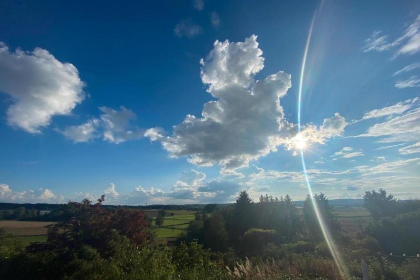 Am Bodensee - foto 30