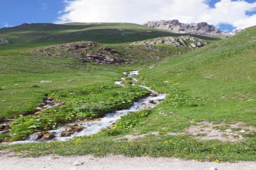 Les Lions Blancs - foto 24