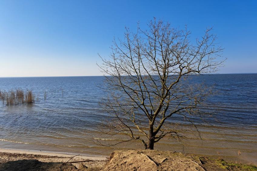 mit Terrasse mitten im Grünen - foto 21