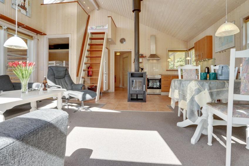 "Krister" - 250m to the inlet in The Liim Fiord - foto 25