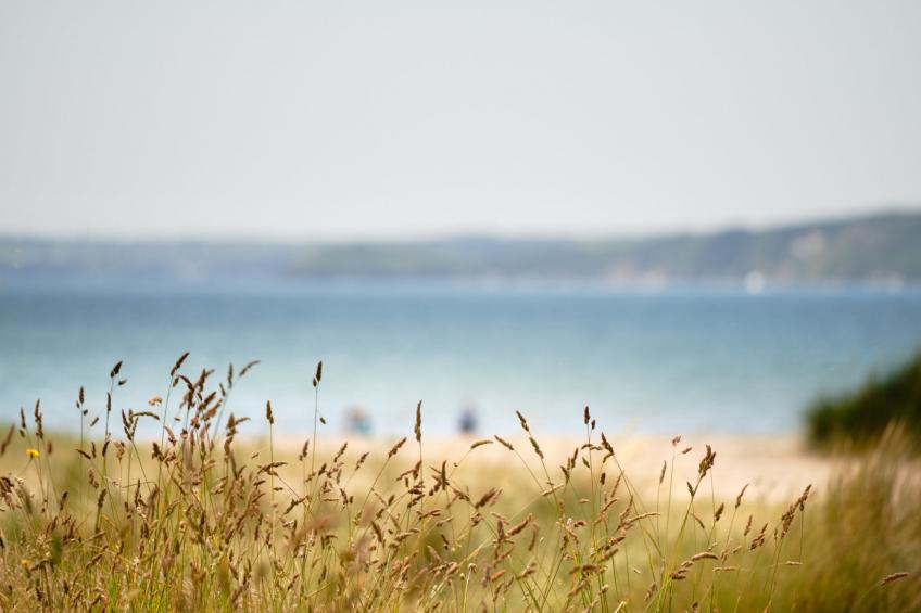 Primrose Cottage - foto 36