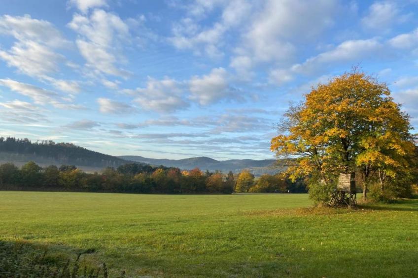 Wissinghausen - foto 31