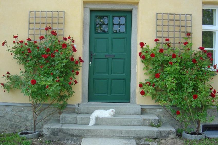 Fewo Altes Schulhaus - foto 20