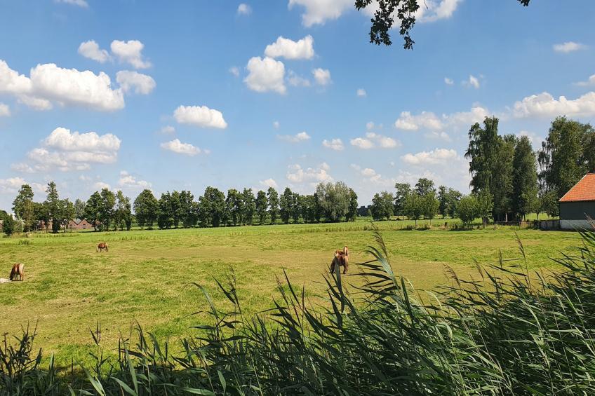 Landelijk Utrecht - foto 40