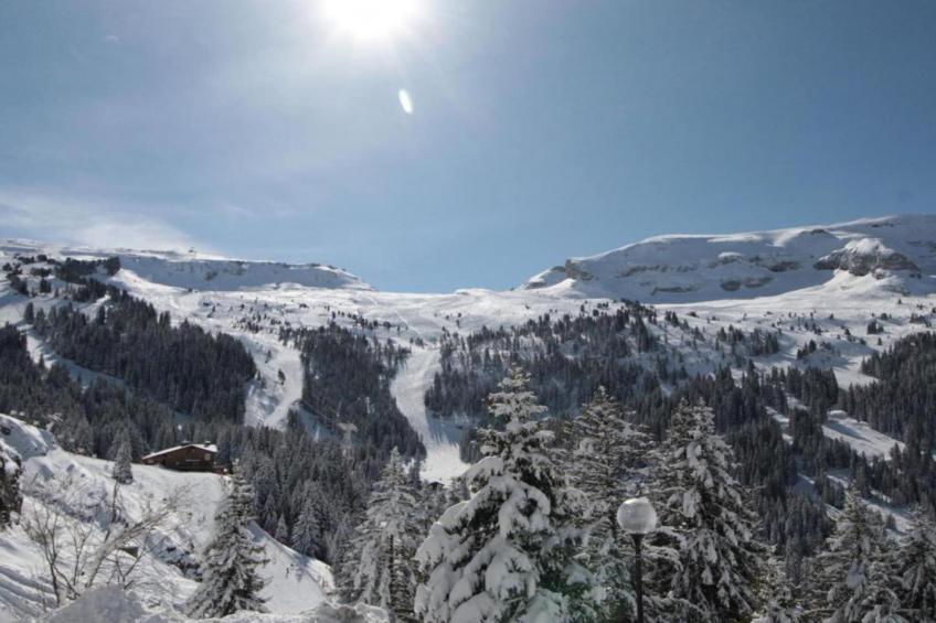 Les Portes du Grand Massif 8 - foto 32