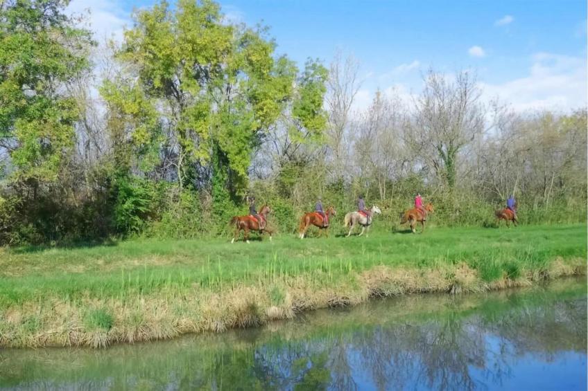 Résidence le Mas des Flamants - foto 16