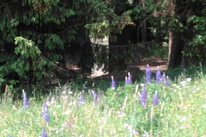 Apartament Nemojov B - foto 27