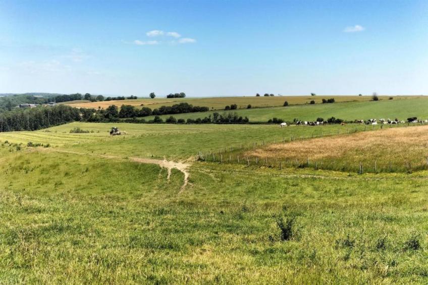 La Maison du Cocher - foto 39