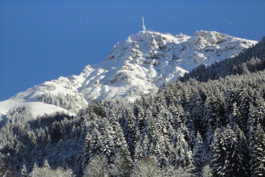 Pankrazberg - foto 38