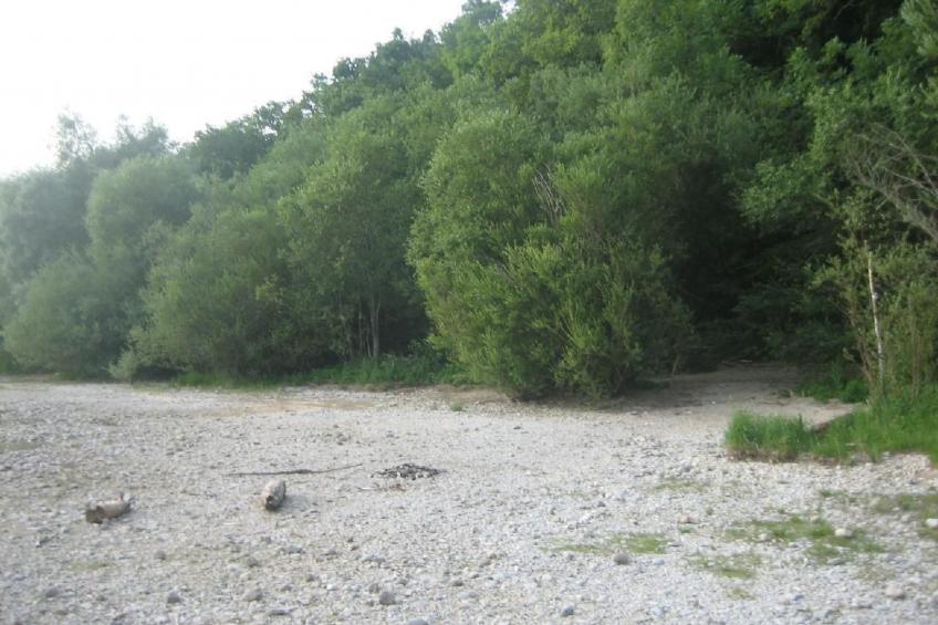 Forsthaus Chiemsee - foto 20