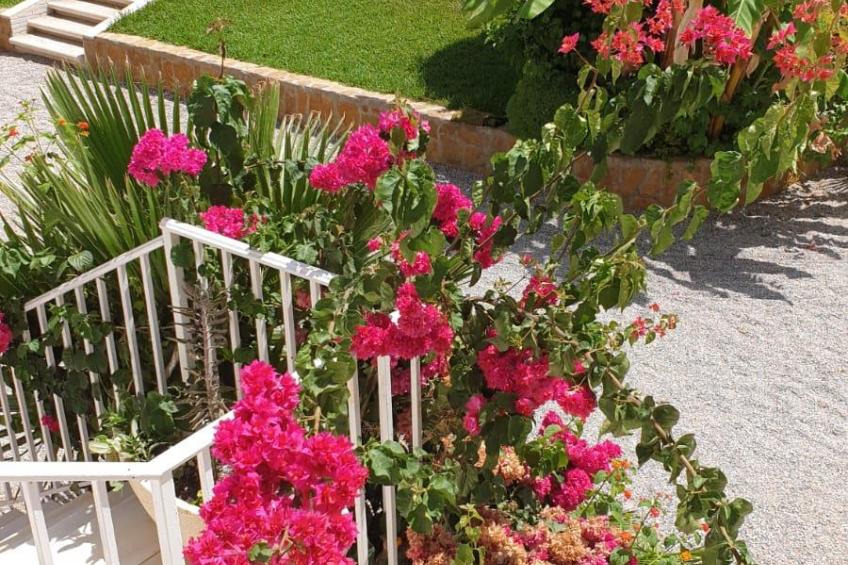 Casa Antonio - foto 2