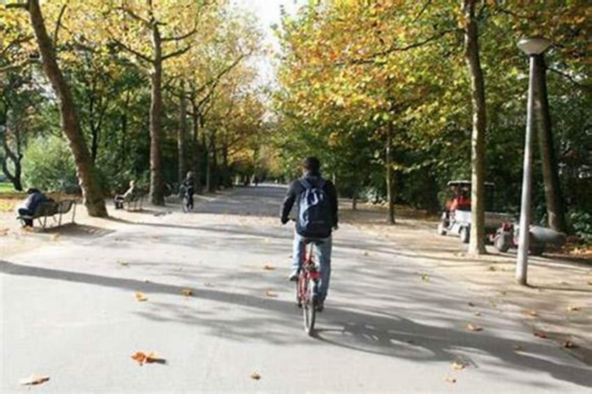 Néméa Appart'hôtel Résidence Toulouse Concorde - foto 30