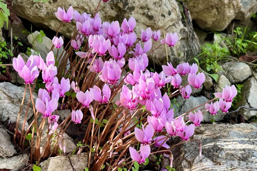 Prächtige Villa in spektakulärer Lage - foto 11