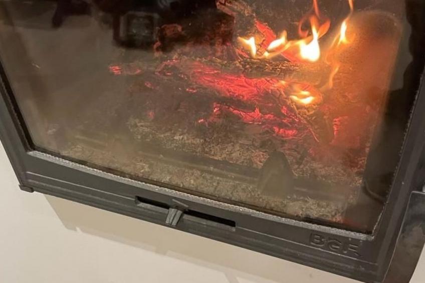 Majoshaza 20 min von Budapest direkt an der Donau - foto 8