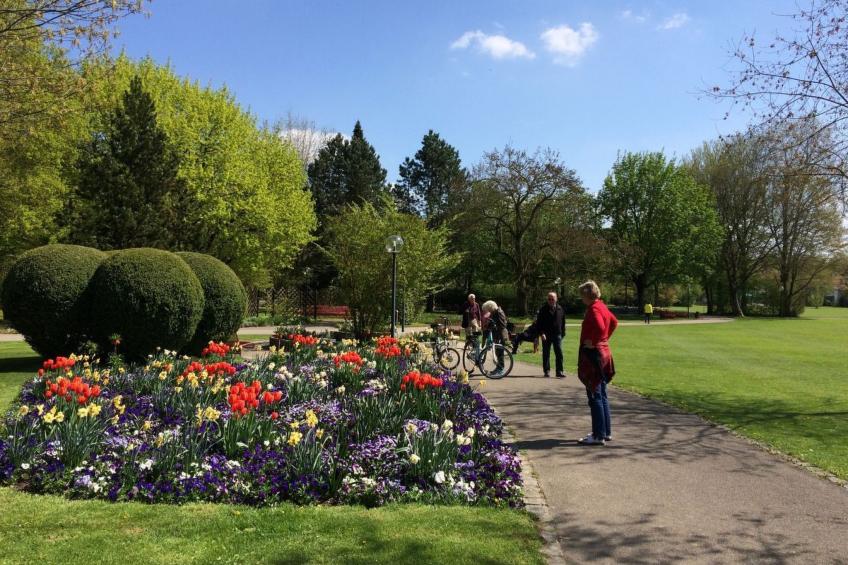 Herrliche Ferienwohnung mit Grill und Garten - foto 26