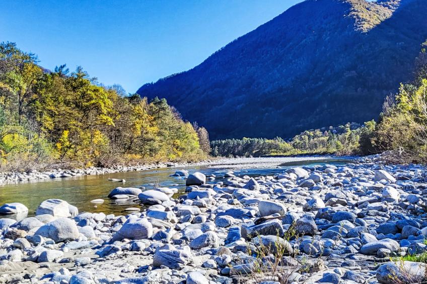 Casa Sambuco - foto 34