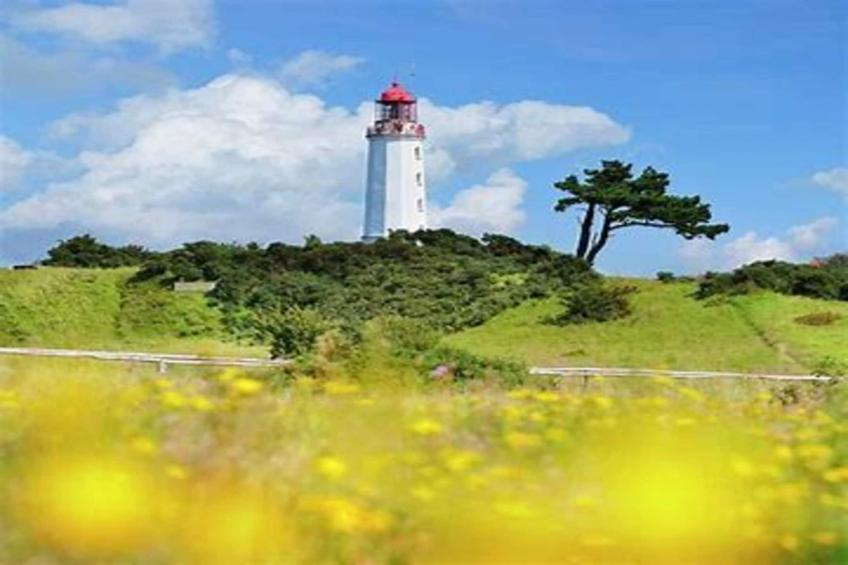 Appartementen Post Hiddensee, Vitte - Type A - foto 34