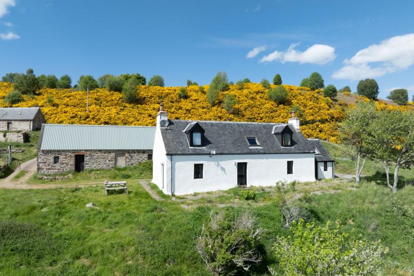 Wester Bunloit - foto 2