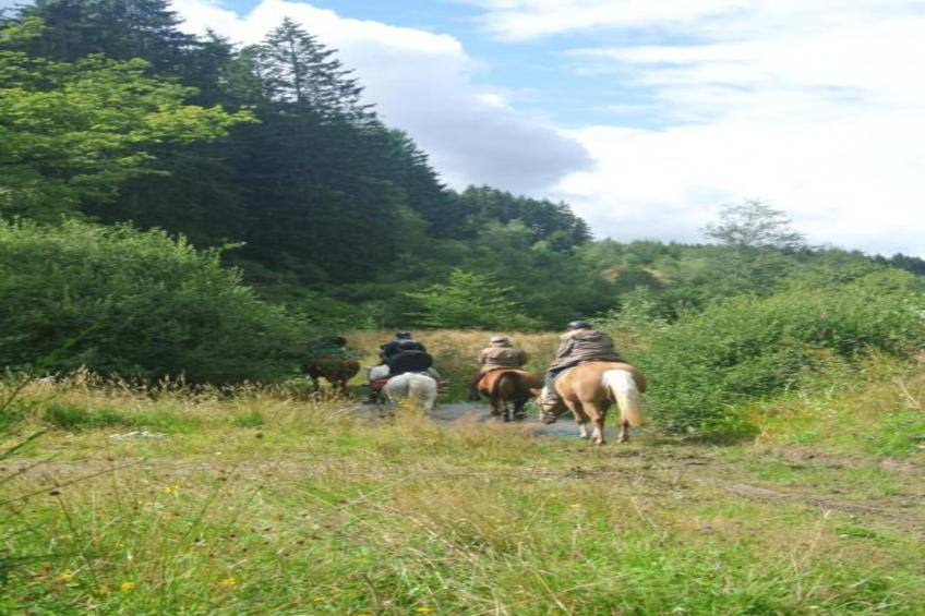 Appartamento 16 - foto 31