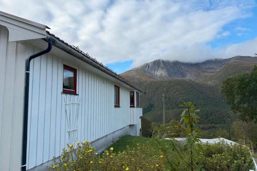 Stabben white House - foto 23