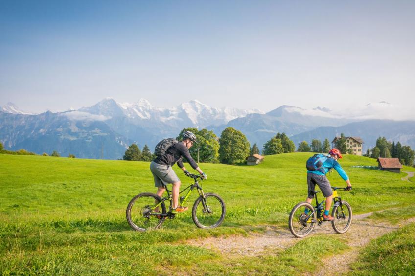 Wohnung Edelweiss direkt in 4 Sterne Hotel - foto 34