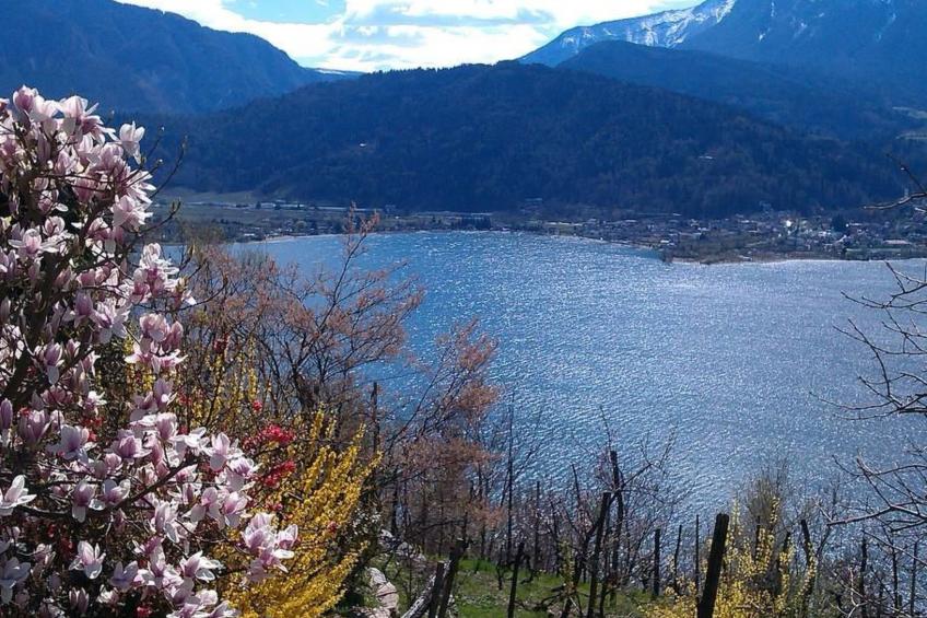 Wohnung in Levico Terme mit Privatparkplatz - foto 28