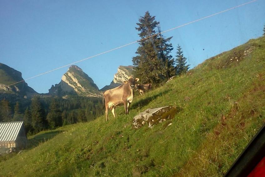 Hof Unterstein - foto 19
